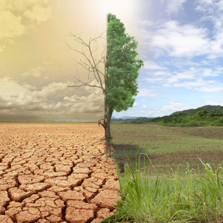 How Climate Change is Creating New Geopolitical Alliances and Rivalries
