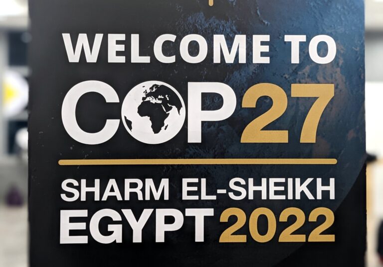 cop27