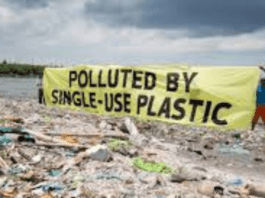 World's Plastic Pollution Crisis: The Global South Takes the Brunt