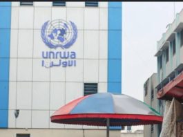 UAE Condemns Israel's UNRWA Action