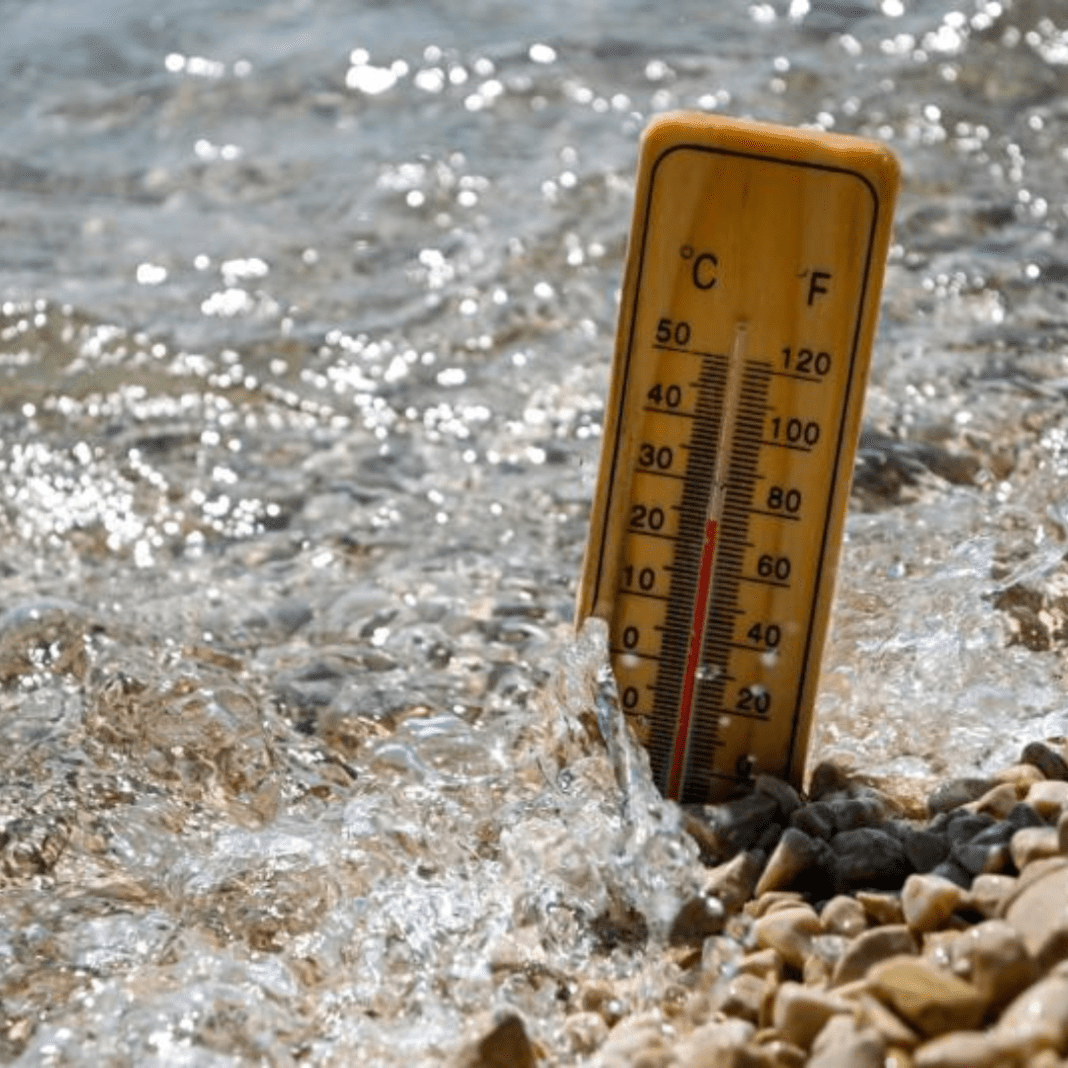 Oceans Heating at Record Speed Threaten Ecosystems