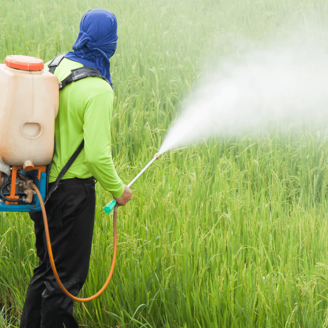 pesticides