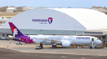 Shocking Cyber Attack Disrupts Hawaiian Airlines Systems