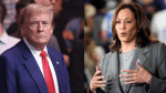Harris zero votes in New York districts sparks lawsuit as Trump gains face new scrutiny