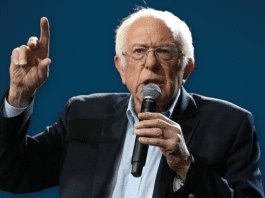 Bernie Sanders backs Zohran Mamdani in New York City mayor race citing grassroots momentum