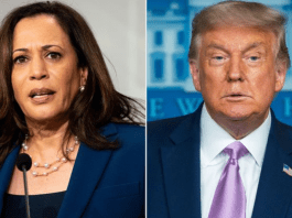 Kamala Harris Sparks Fire by Calling Trump a Tyrant and Comparing Him to Dictators
