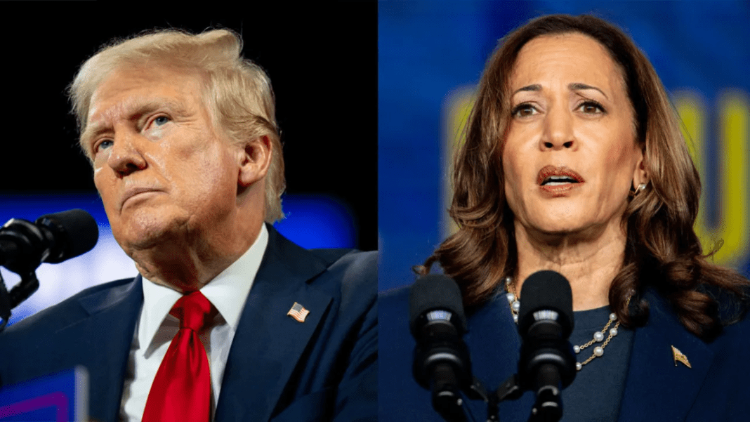 Trump Sparks Outrage by Calling Kamala Harris ‘Dumb As A Rock’ After 2024 Election Claim