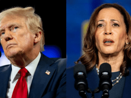 Trump Sparks Outrage by Calling Kamala Harris ‘Dumb As A Rock’ After 2024 Election Claim