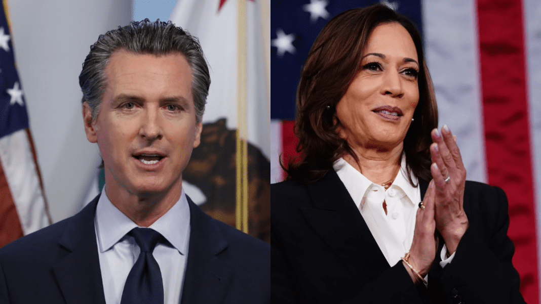 Kamala Harris publishes campaign diary highlighting tensions with Democrats and Gavin Newsom
