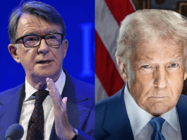 Shockwaves as Peter Mandelson Sacked as UK Ambassador to the US Over Epstein Links