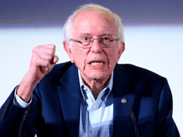 Sanders argues policies, not diversity alone, should define political leadership