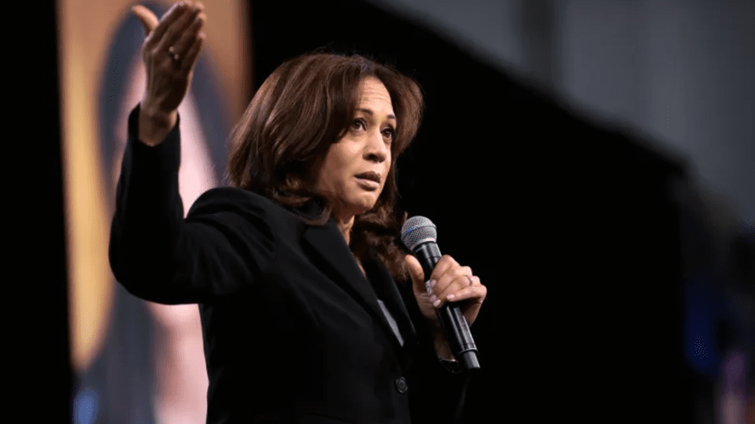 Kamala Harris criticizes Trump and urges Democrats to protect working Americans