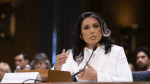 Gabbard-created intel group accused of mishandling classified tip leading to explosive—totally false—pipe-bomber claim