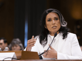 Innocent woman falsely accused as pipe bomber after mishandled intelligence memo leak