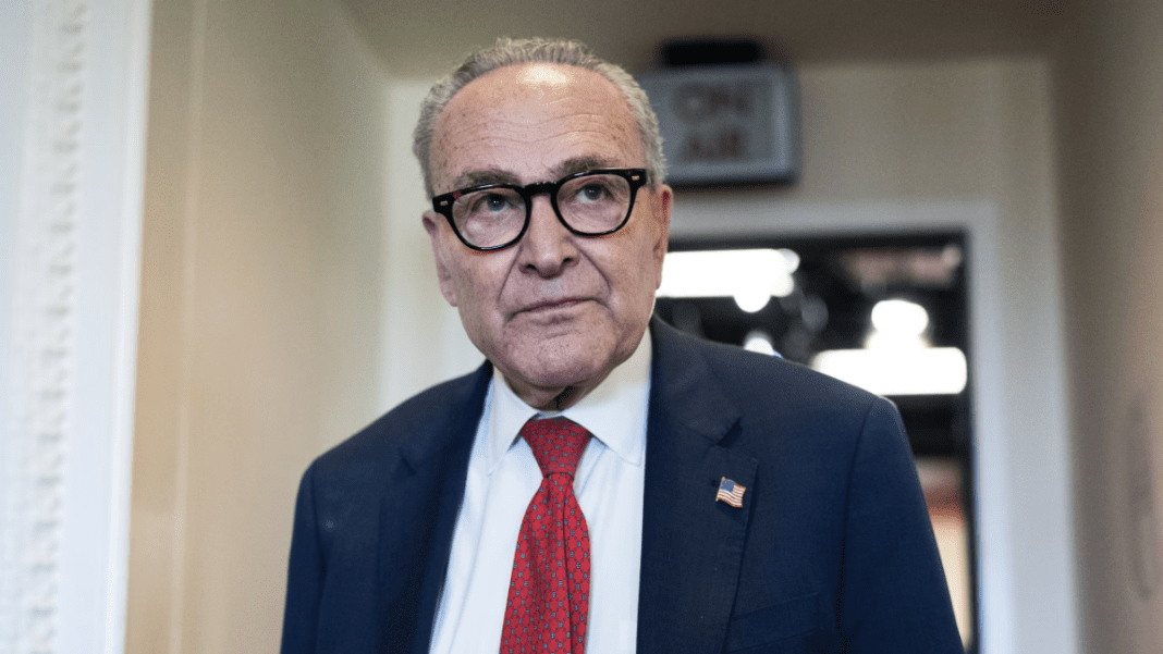 Chuck Schumer under fire from Democrats after compromise ends longest shutdown