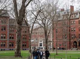 Explosive Senate memo ignites storm over Harvard’s new board member and her ties to Epstein’s financial network New Harvard endowment board appointments draw attention due to Epstein-related records