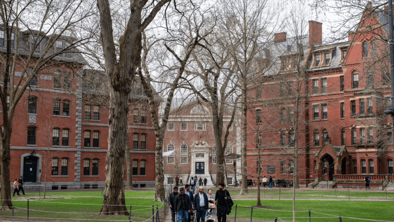 New Harvard endowment board appointments draw attention due to Epstein-related records