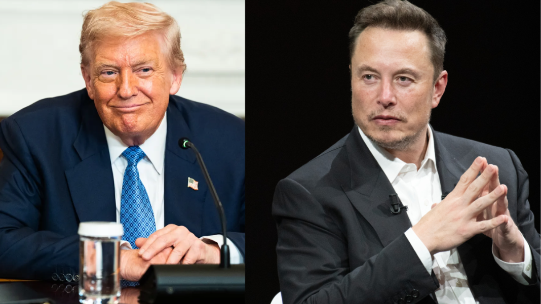 Elon Musk recalls Mamdani moment and praises Trump’s natural comedic timing
