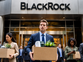 BlackRock layoff plan cuts about 250 jobs as asset manager realigns staff with business priorities