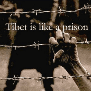 An Unsung Hero — Li Jiaming (A Courageous Human Rights Defender)